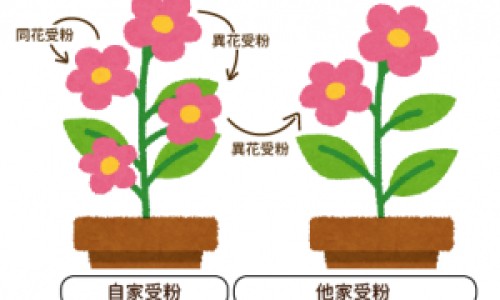 头孢拉定和头孢分散片的区别-头孢拉定和头孢分散 区别网—知名的头孢拉定和头孢分散 区别是什么网站,分享头孢拉定和头孢分散 区别大吗知识