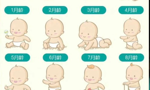 头孢拉定和头孢拉啶-头孢拉定和头孢分散 区别网—知名的头孢拉定和头孢分散 区别是什么网站,分享头孢拉定和头孢分散 区别大吗知识